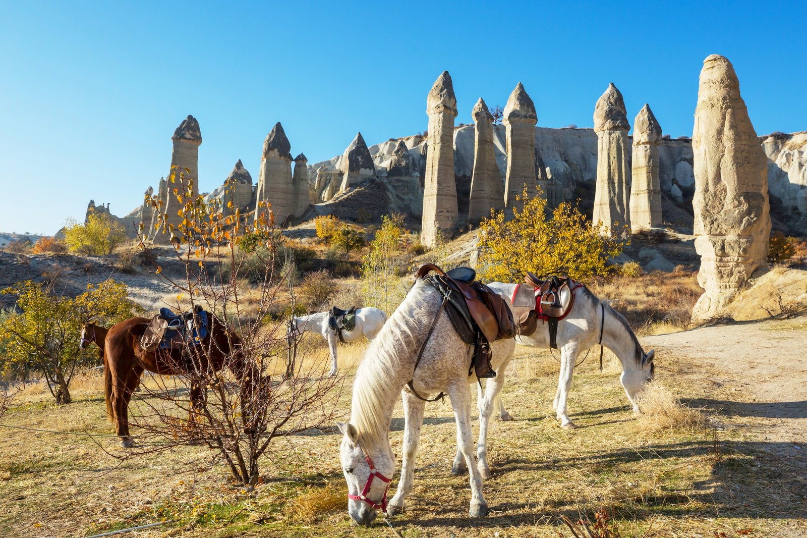 What to Eat in Cappadocia: A Food Lover’s Guide